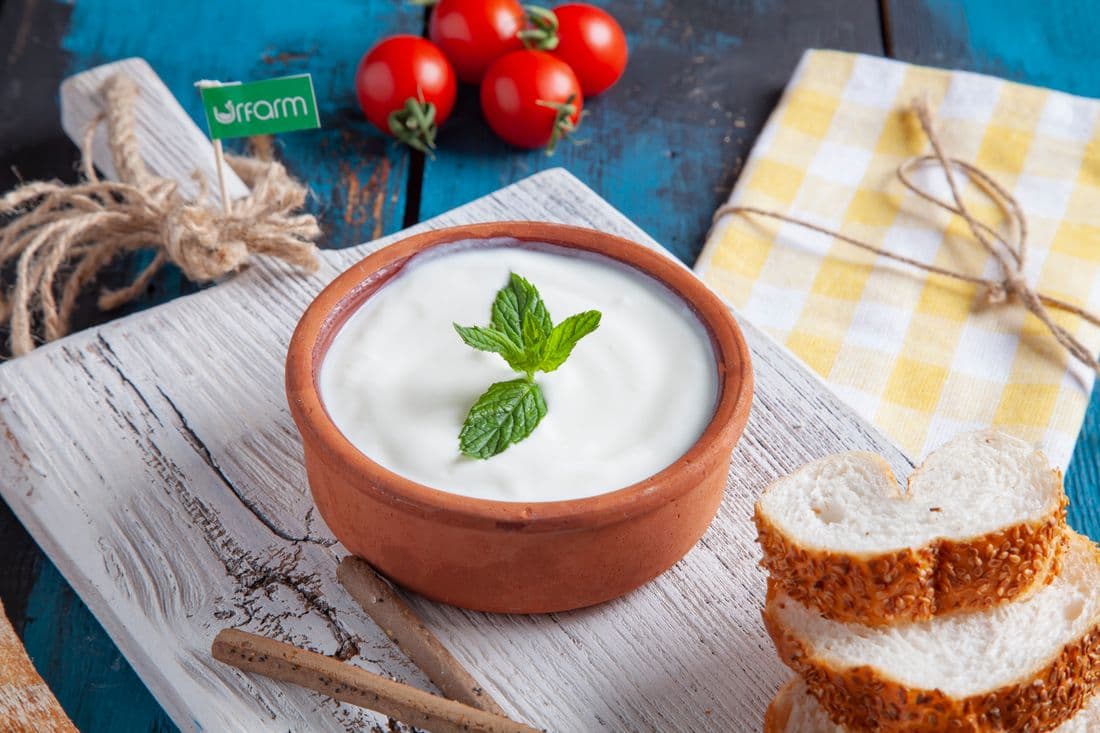 Dahi & Curd